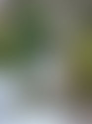 The first day of snow, the first day of enjoying “content” creation...