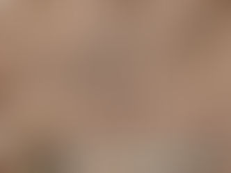 White Willow Bark organic herb natural vegan plant tea