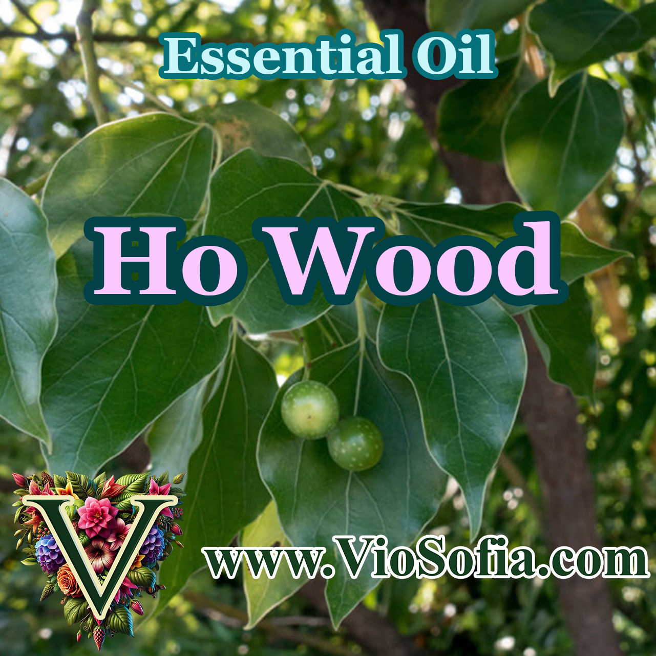Ho Wood Essential Oil