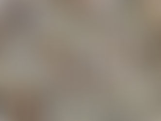 Sage 2 organic herb natural vegan plant tea