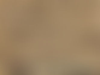 White Horehound organic herb natural vegan plant tea