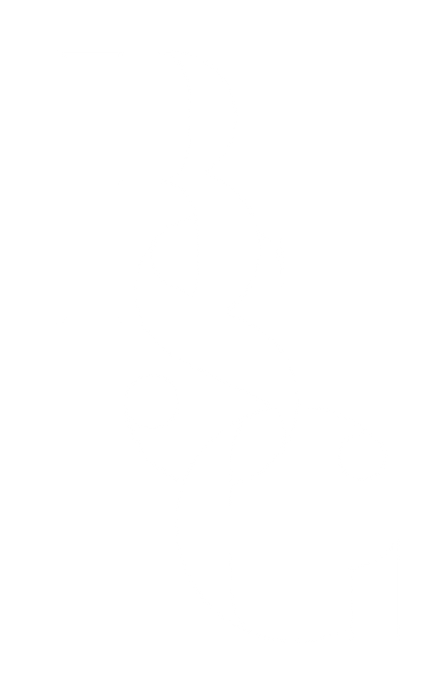 WHITE BSG.png
