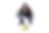 ree