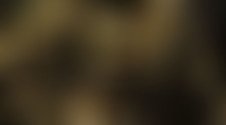 BIRINGAN - UTOPIAN CITY SA PINAS