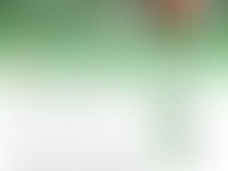 Construction Site Flagman