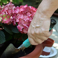 Plant Care