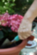 Plant Care