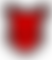 ERC Sonthofen zu Gast in Dingolfing