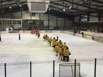 Bulls verlieren in Deggendorf 2:5