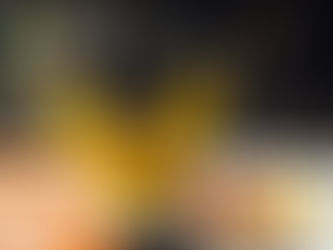 Erfolgreiche Reise nach Niederbayern