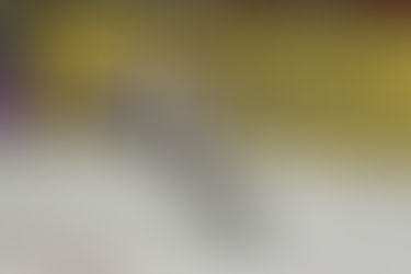 ERC Sonthofen beendet Hauptrunde als Gruppensieger