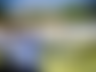 שיא העונה בקשתות- נבחרת ישראל מתחילה את אליפות העולם בקוריאה