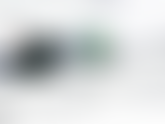 אליפות העולם בקייט פויל- הישראלים לא התחרו בכיפור וסיימו מחוץ לשיוטי המדליות