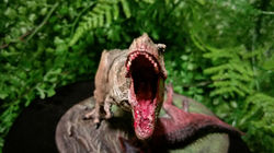 25579271_1995305137392213_1476048154_o