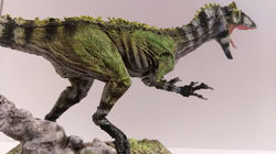 26730652_2007014022887991_6445441590237442046_n