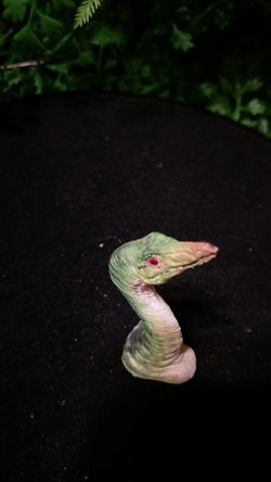 25593643_1995305040725556_900534020_n