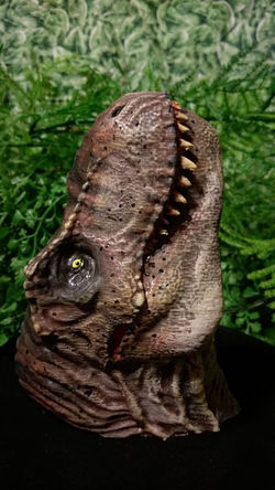 25555456_1995304877392239_623635944_n