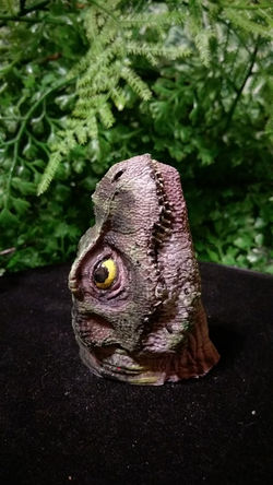 25555526_1995304520725608_64678539_n