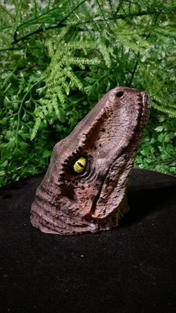 25555514_1995304650725595_1757474663_n