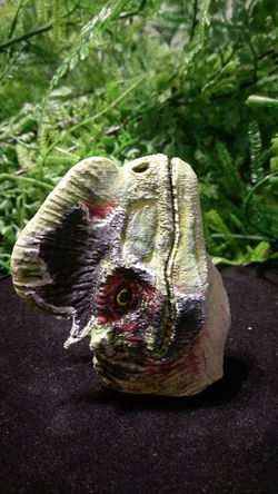 25555635_1995721624017231_1739373485_n