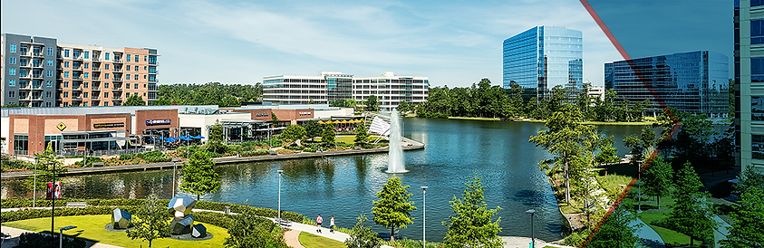 woodlands-header.png