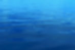 bluewaterspecial.jpg