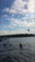 image_6483441