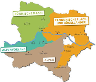 rgv_web_1_Karte Regionsgliederung NÖ.jpg