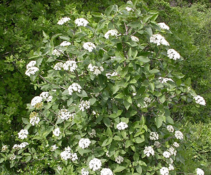 DSCN3067.JPG
