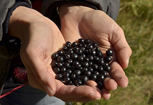 rgv_web_3_Besammlung_RS.JPG
