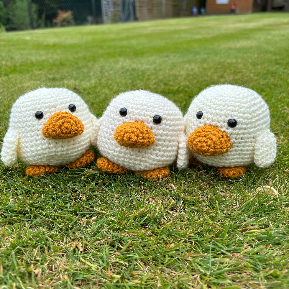 Thumbnail: Dylan the Duck