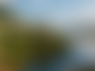 Fully Informed Consent is Non-Negotiable