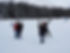 Guests in the snow.jpg