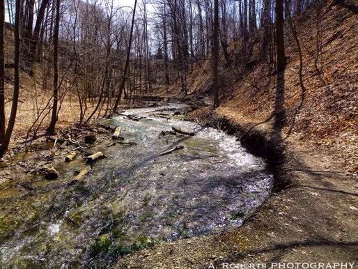 CF Vests Worldwide presents Cystic Fibrosis Artists Wednesday featuring Adella Clark, A. Roberts Photography.