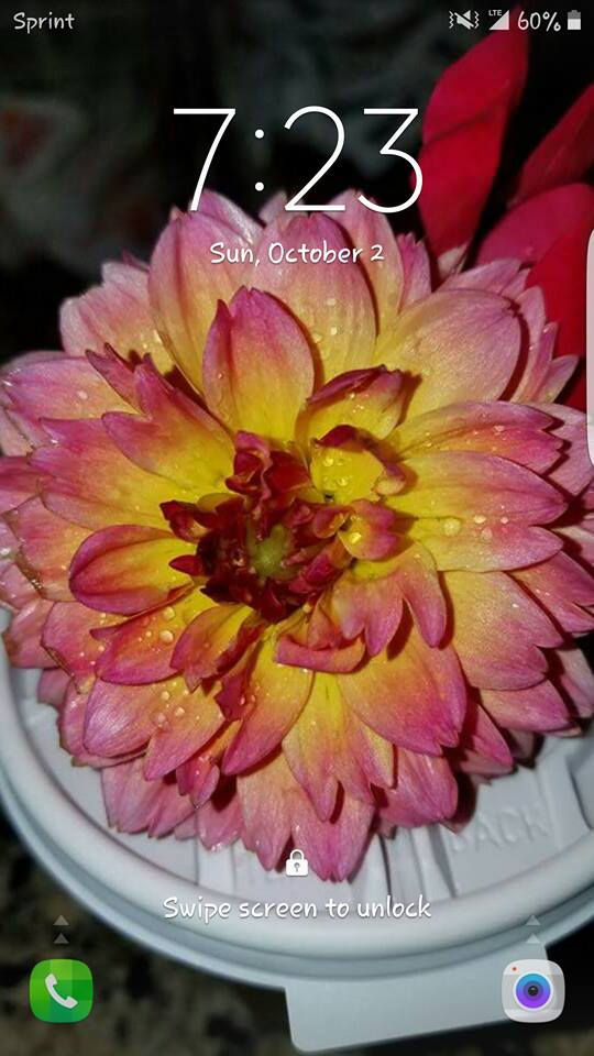 CF Vests Worldwide presents Cystic Fibrosis Artists Wednesday featuring Donna Heaney 