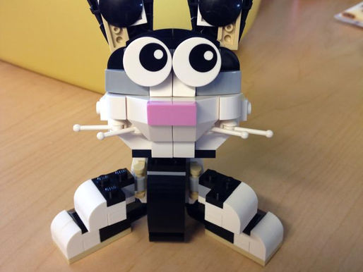 CF Vests Worldwide presents Cystic Fibrosis Artists Tuesday featuring Jasmine Jordan (1993 - 2019)