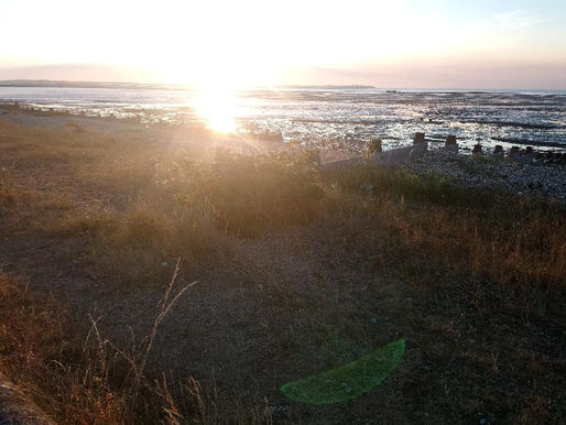 CF Vests Worldwide presents Cystic Fibrosis Artists Thursday featuring Pip Gregory.