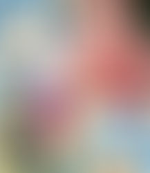 Kujtesa në Facebook – 20 Prill 2022CF Vests Worldwide po dezinfekton aktualisht jelekët e parë kundër Fibrozës Cistike që do të dërgohen nga CF Vests Worldwide për pacientët me Fibrozë Cistike në #...