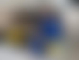 The Critical Importance of Professional Water Extraction in Residential Recovery