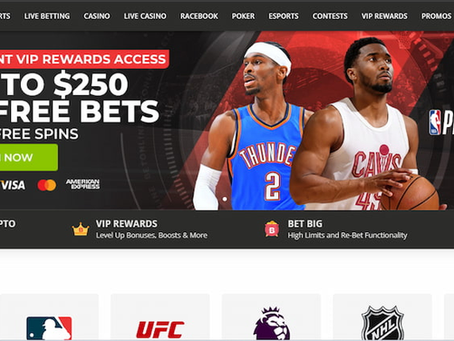 Poker Texas Holdem Online Gratis: Todo lo Que Necesitas Para Jugar Bien
