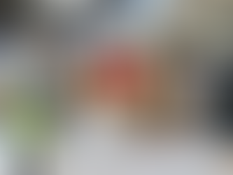 Professional Consultant Services for Shipping Efficiency