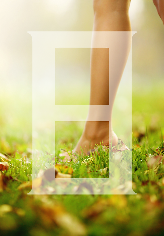 elysian website mock 2.png