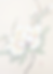 Untitled-374.png