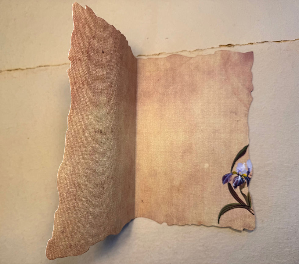 Thumbnail: Iris and Butterfly- Vintage Card