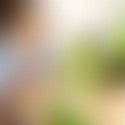 Heilen mit der Natur: Effektive Naturheilkunde für Magen-Darm Erkrankungen