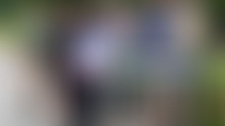 HOW TO REPAIR ROTTEN WINDOWS