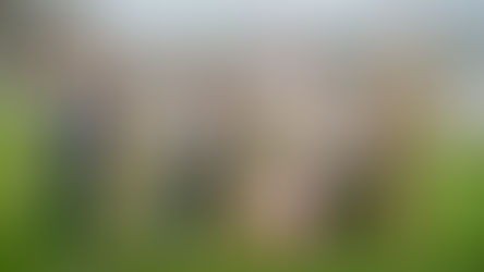 2024 GALA AND DESSERT AUCTION