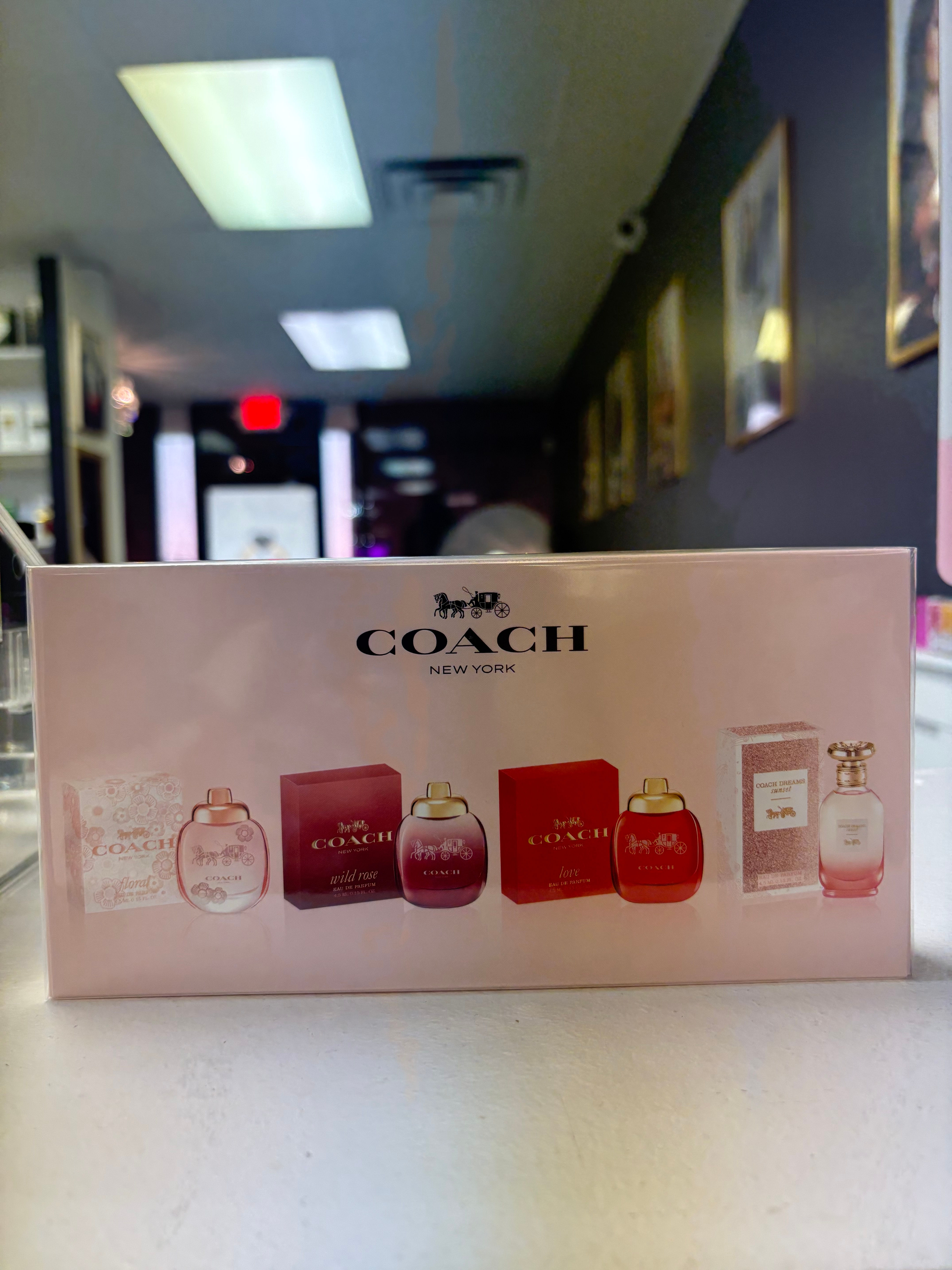 Coach New York Minis