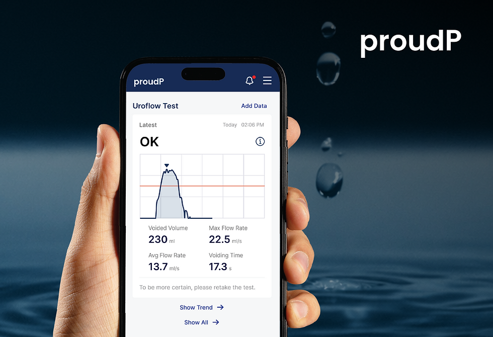 proudP phone and screen