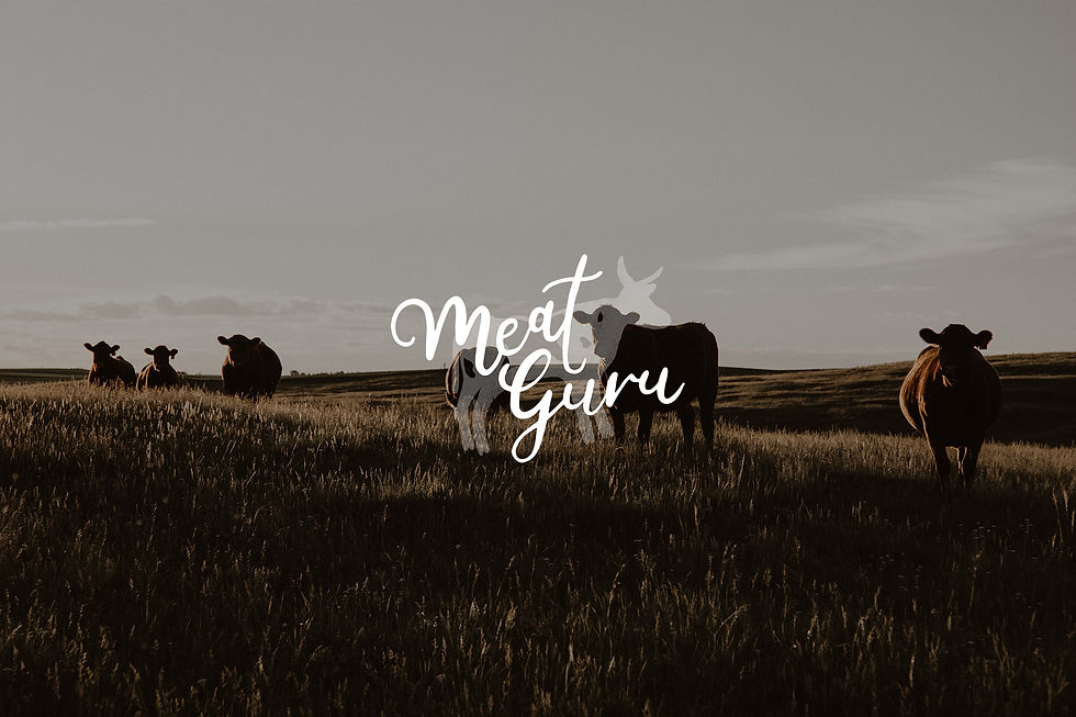 MEAT GURU BACKGROUND.jpg